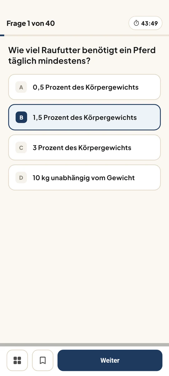 Prüfungssimulation mit Zeit und Fragenübersicht