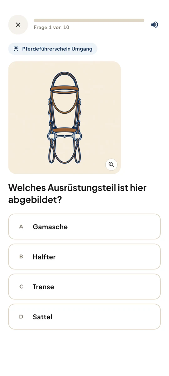 Bildfrage zu einem Ausrüstungsteil