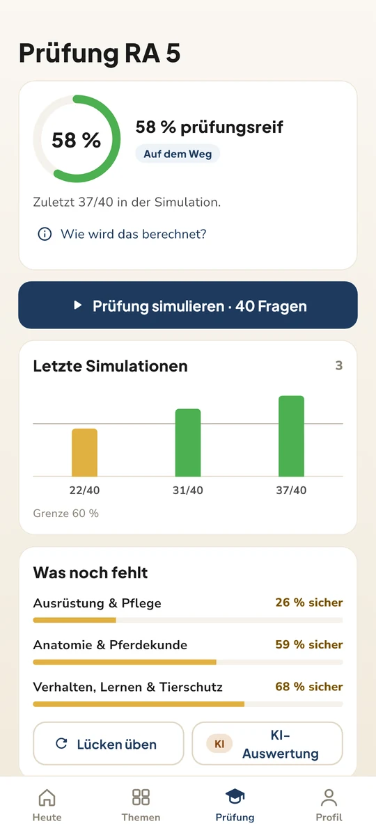 Prüfungsreife und offene Themen